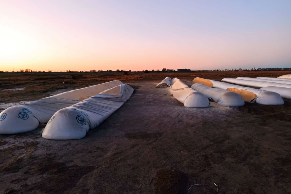 Así quedaron las 5 silobolsas destruidas
