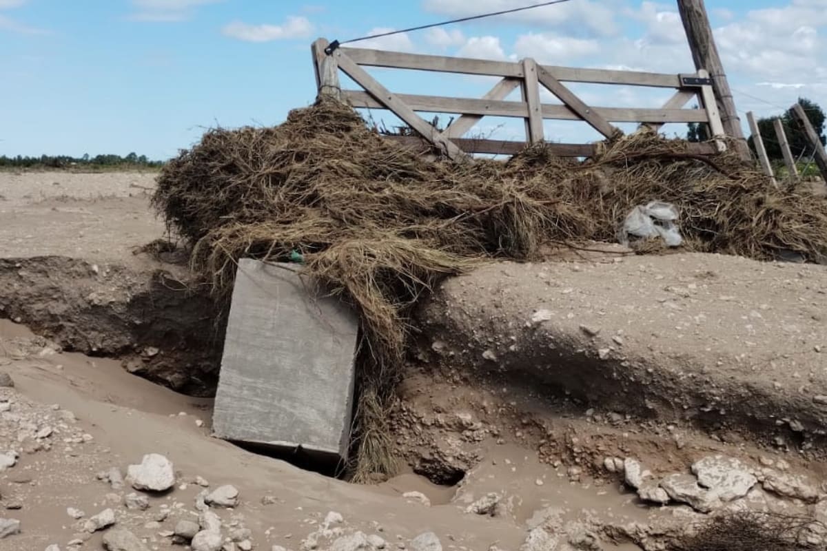 Así quedaron los caminos rurales tras las inundaciones en Bahía Blanca y los productores avanzan en un pedido