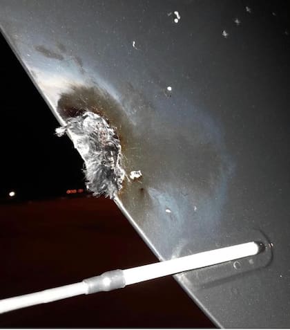 Así quedó el avión donde se trasladaba Miley Cyrus hacia Asunción, Paraguay