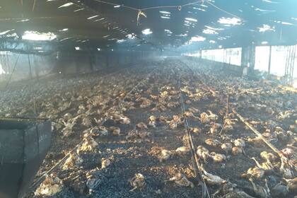 Así quedó el establecimiento tras el incendio