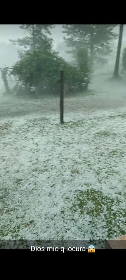 Así quedó el jardín de una chacra en la zona de la ruta 13, kilómetro 15 antes de llegar a El Soberbio.