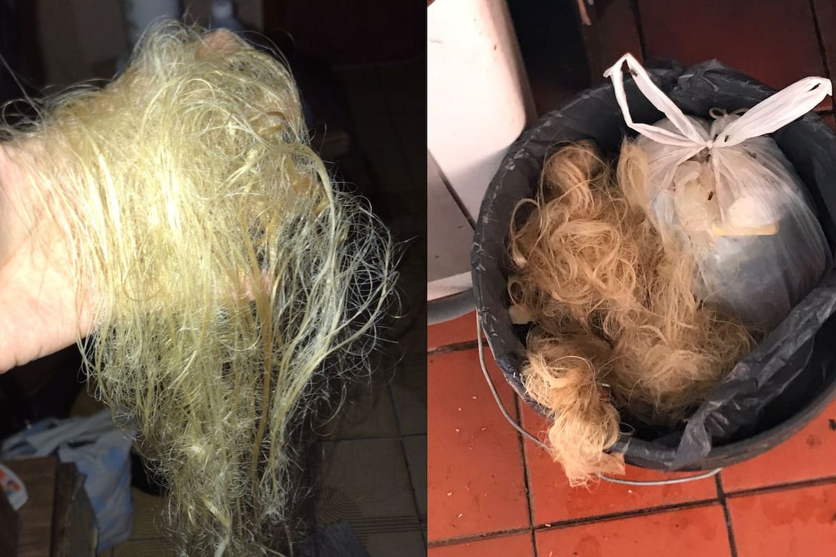 Así quedó el pelo de la adolescente