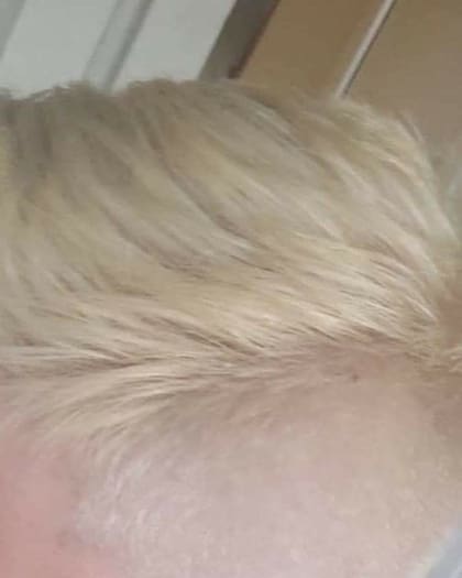 Así quedó el pelo del joven luego de pasar por la peluquería