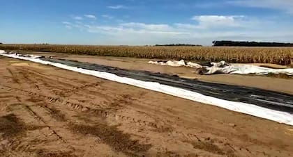 Así quedó el silobolsa del productor Benito Sánchez luego que en la medianoche del 24 de junio pasado le cargaran unas 300 toneladas de soja