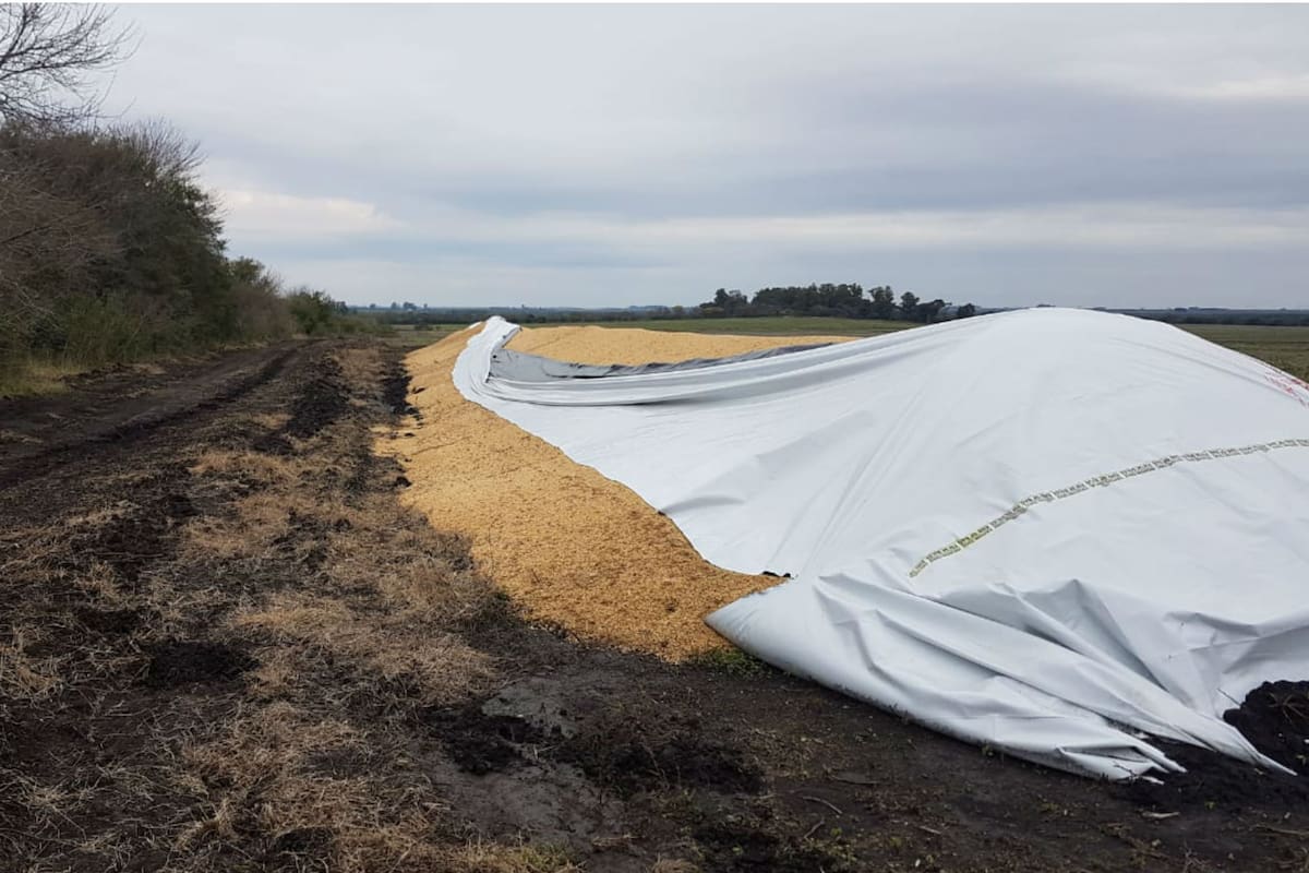 Así quedó el silobolsa que fue roto antes de la lluvia del jueves