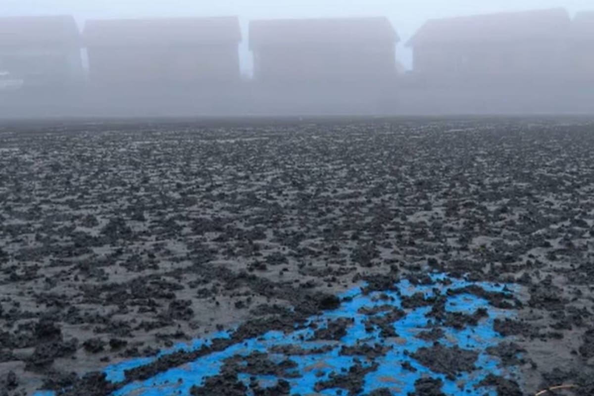 Así quedó el suelo de Catania tras la erupción del Monte Etna