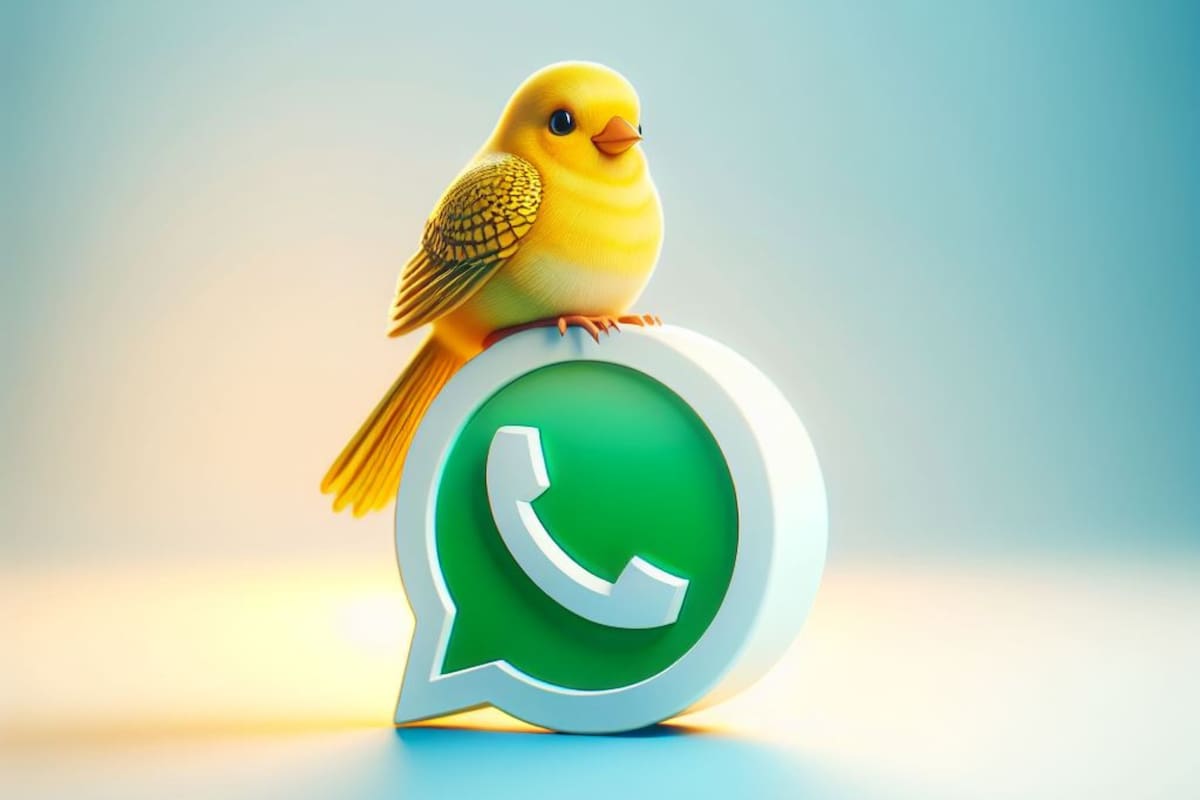 Así se activa el "modo canario" de WhatsApp, paso a paso