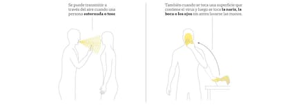 Así se contagia el coronavirus