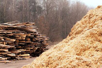 Así se dispuso este viernes en el Boletín Oficial; la lista incluye acerraderos y otras actividades