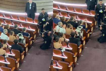 Así se grabó la participación de Messi, el perro de Anatomía de una caída, para los Oscar (Foto: Captura de video / X @chrissgardner)