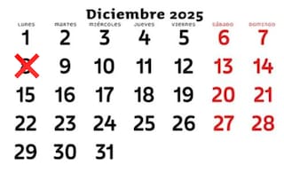 Cómo se paga el feriado del lunes 8 de diciembre