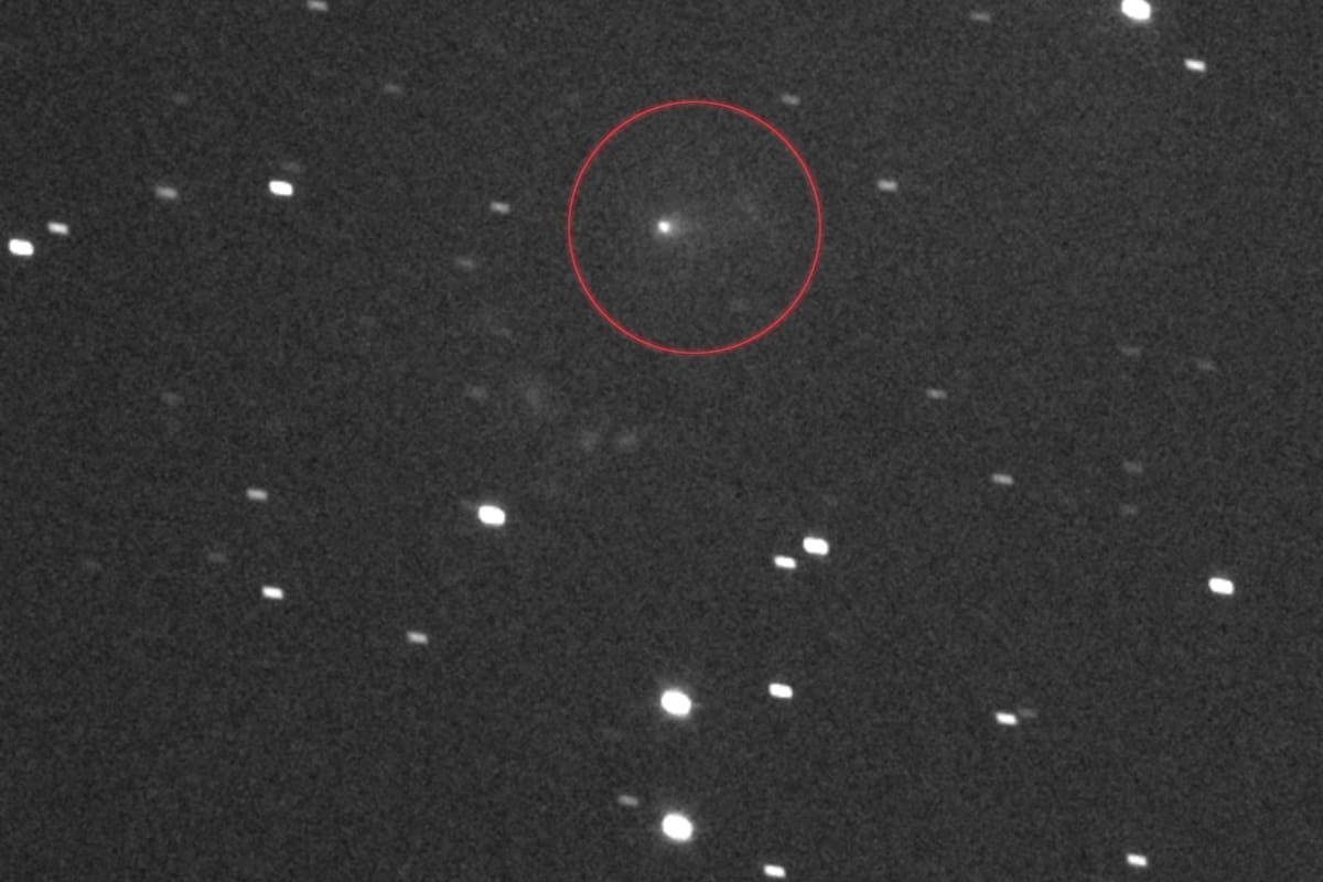 Así se observa el cometa en el cielo nocturno
