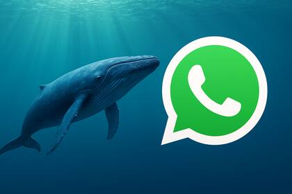 Así se ve el "modo ballena azul" de WhatsApp