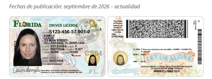 Así se ve el nuevo diseño de la licencia de conducir en Florida
