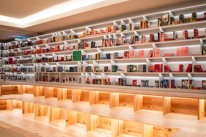 Así se ve la Biblioteca del Manifiesto, la iniciativa de Dua Lipa