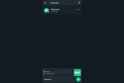 Así se ve la nueva herramienta de WhatsApp en la versión beta