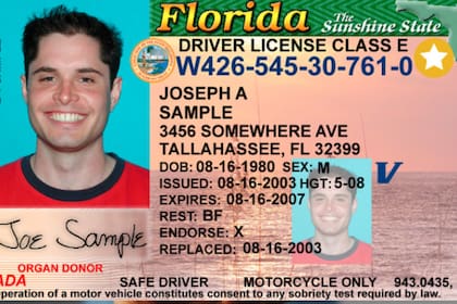 Así se ve una licencia antigua con Real ID; Florida cambió su diseño y mejoró la seguridad de las identificaciones
