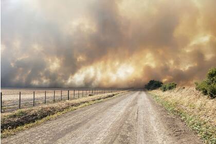 Así se veía el fuego que afectó 4500 hectáreas productivas
