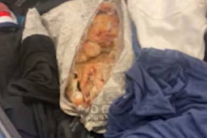 Así se veían los paquetes que encontraron en el equipaje del pasajero y con los que pretendía ingresar a EE.UU.