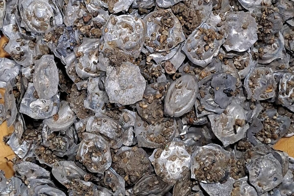 Así se ven las monedas medievales halladas en el sur de Alemania