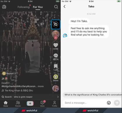Así se vería Tako, el asistente conversacional de Tiktok