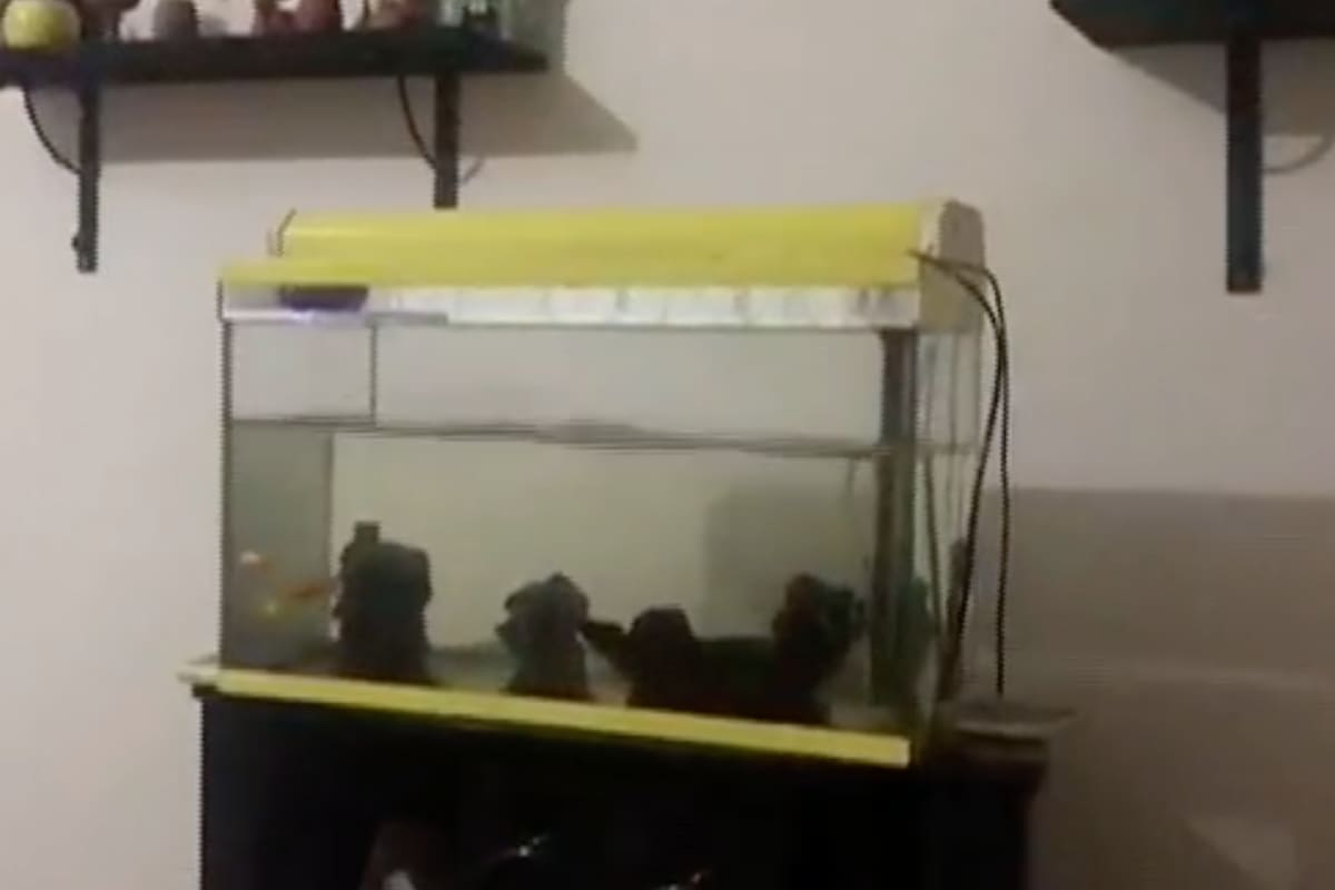 Así se vivió el sismo en un departamento de Turquía