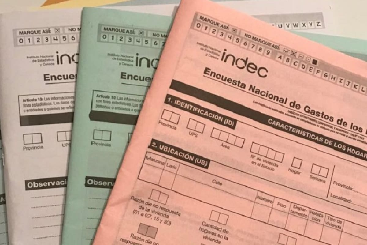 Asi serán los formularios del Indec