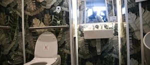 Cómo son los nuevos baños públicos de Nueva York y la curiosa regla que anunció Mamdani