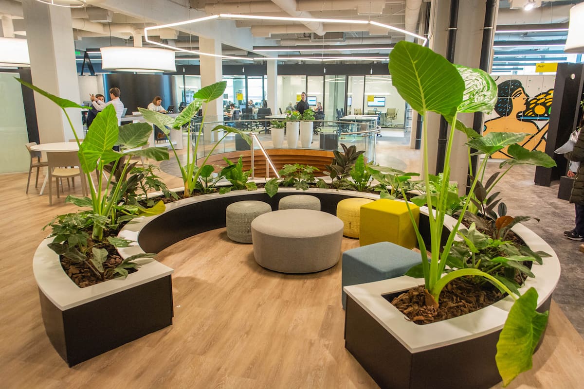 Así son por dentro las nuevas oficinas de Mercado Libre