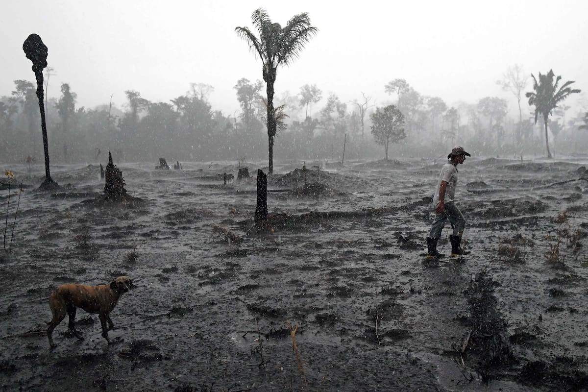 Así trabajan los bomberos en el Amazonas