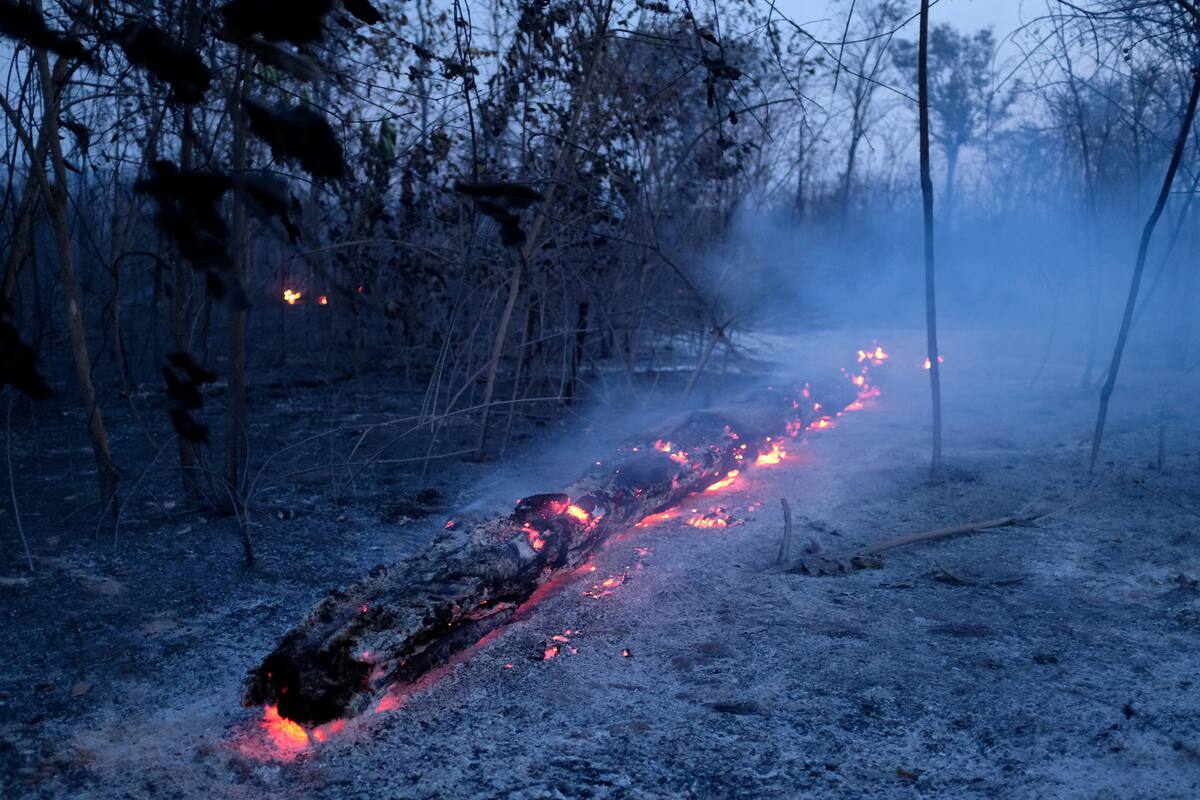 Así trabajan los bomberos en el Amazonas