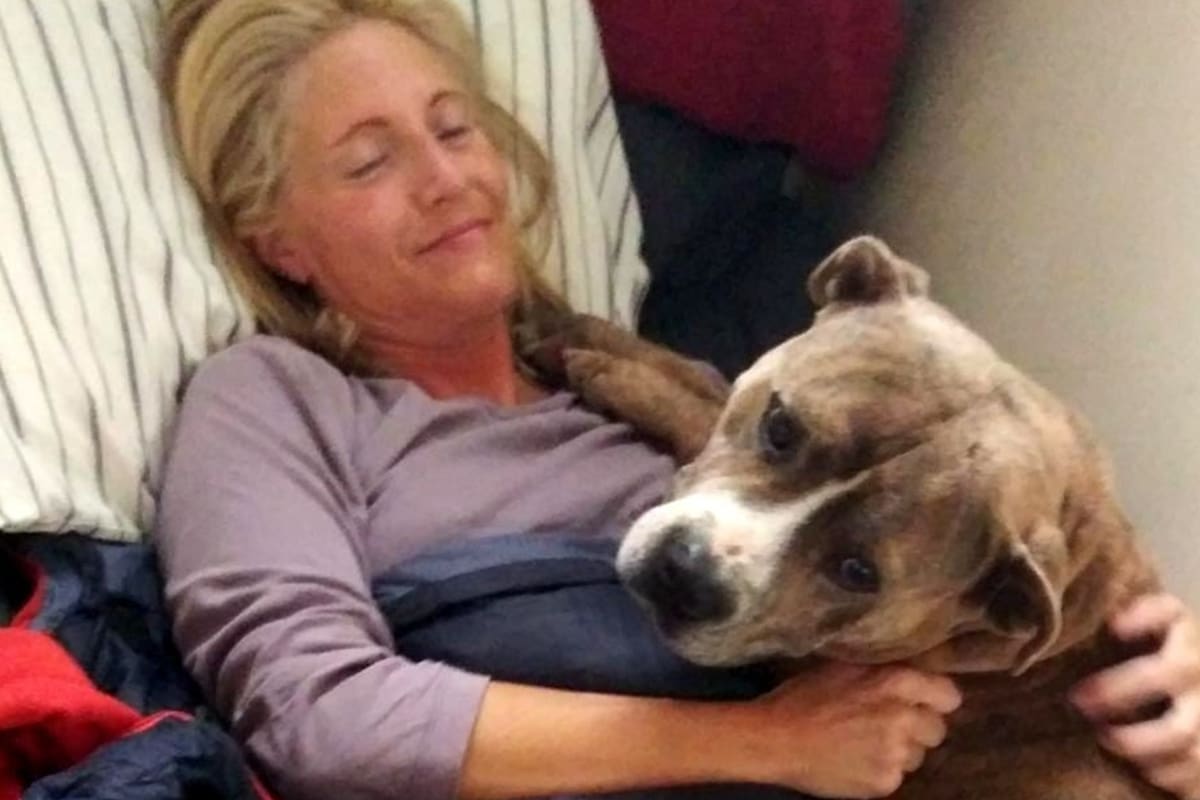 Así vivió por 12 días Kacey Widetich junto a "Drools", hasta que consiguió que lo adoptaran (Facebook)