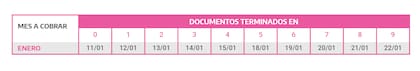 Asignación Universal por Embarazo