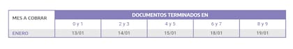 Asignación por Prenatal y Maternidad