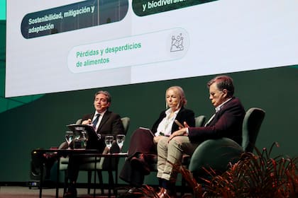Asinelli explicó que la decisión de ampliar el financiamiento responde al papel estratégico que ocupa el agro latinoamericano en la producción mundial de alimentos