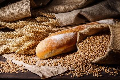 Assortment of baked bread on wooden table background