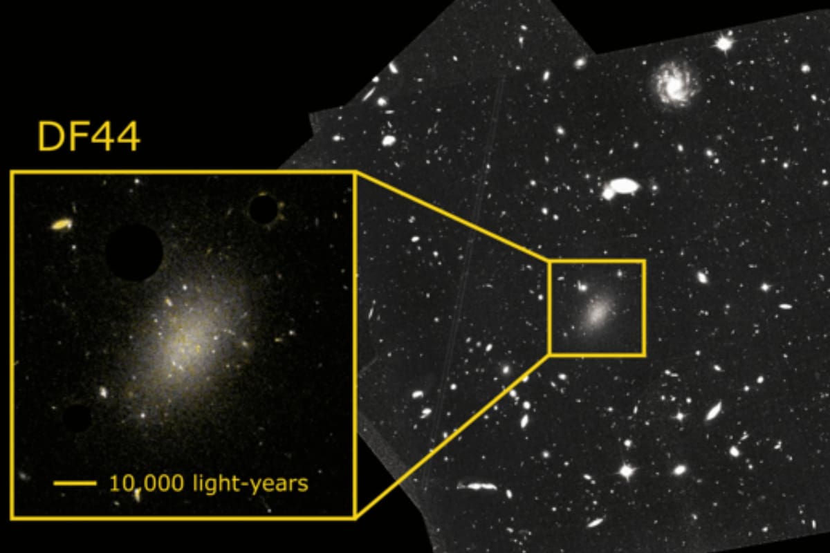Astrónomos resolvieron el enigma del 99,9% de materia oscura que aparecía en la galaxia Dragonfly 44