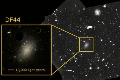 Astrónomos resolvieron el enigma del 99,9% de materia oscura que aparecía en la galaxia Dragonfly 44