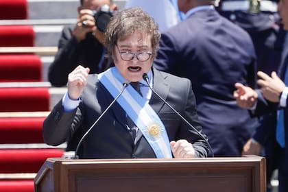 Asunción del presidente Javier Milei en las escalinatas del congreso de la nación.