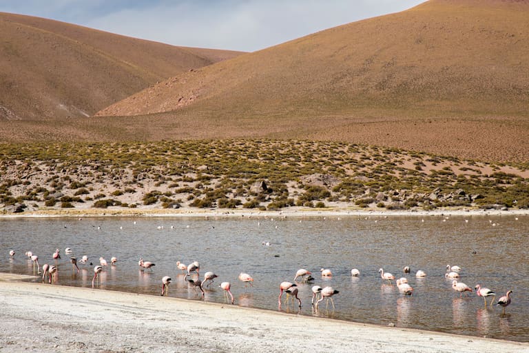 Atacama