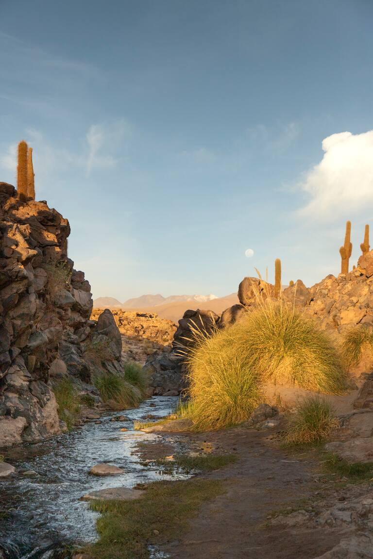 Atacama