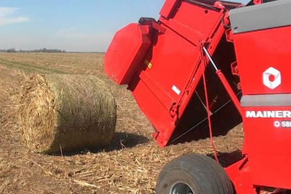 Atador de red para rotoenfardadoras Mainero