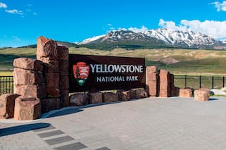 Ataque de oso hiere a dos excursionistas en el Parque Nacional Yellowstone