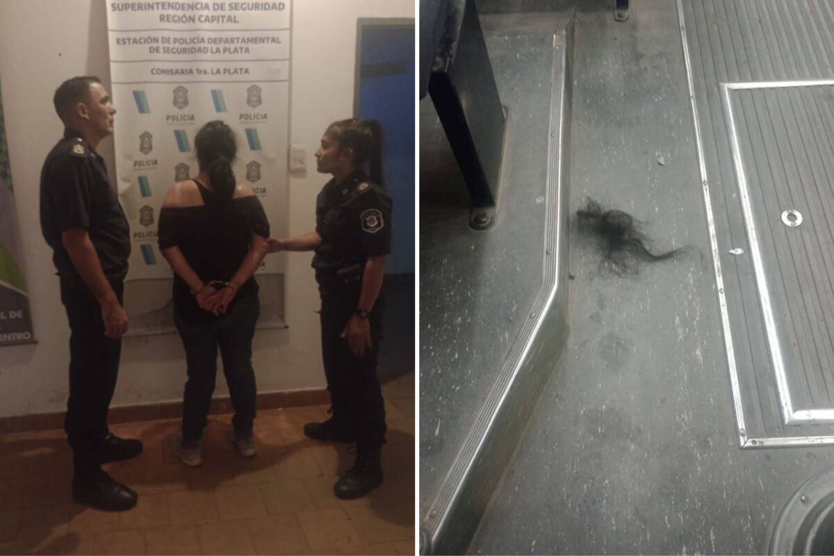 Ataque en un micro en La Plata