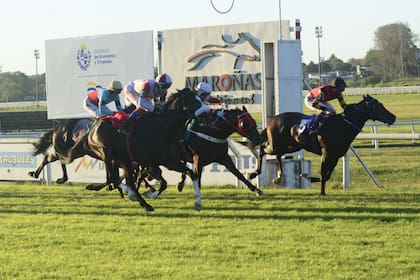 Athelsta viene de superar a Happy Day (3) en el Carlos Pellegrini del hipódromo montevideano de Maroñas, en un final de bandera verde.