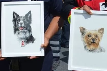 Athos era un perro Border Collie y Tango, de la raza Yorkshire