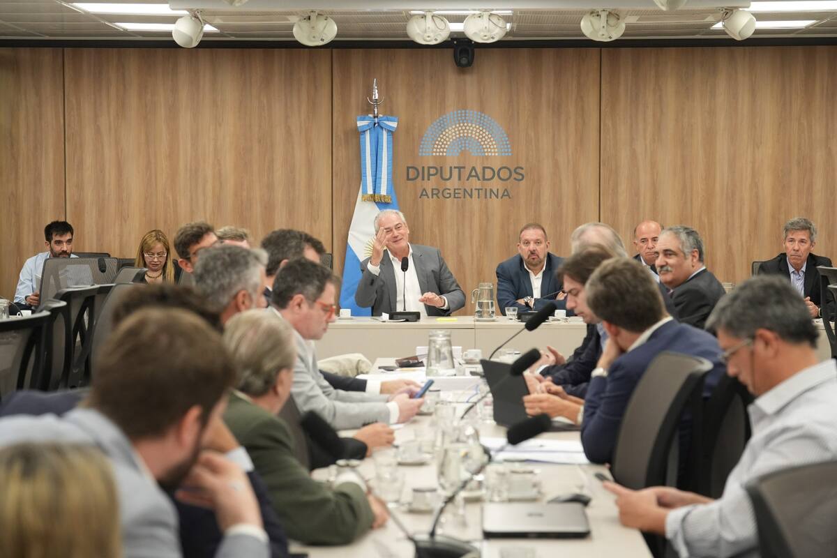 Atilio Bendetti, presidente de la Comisión de Agricultura, de la Cámara de Diputados, y quien lideró la reunión