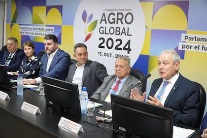 Atilio Benedetti expone en la cumbre Agro Global 2024, en Brasilia