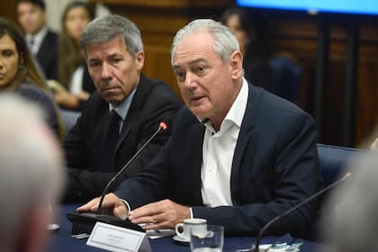 Atilio Benedetti, presidente de la Comisión de Agricultura y Ganadería