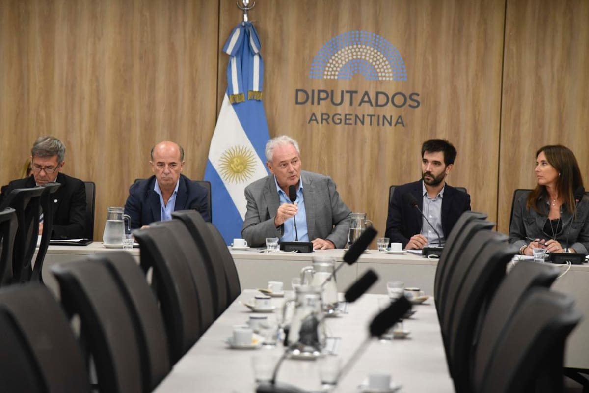 Atilio Benedetti, presidente de la Comisión de Agricultura de Diputados, en el inicio del debate por las retenciones